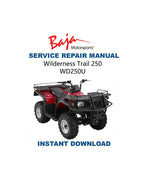 Baja 250 Service Manual PDF service repair manual cover