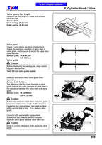 SYM GTS 250 Joymax 250 Service Manual 2005-2009 Scooter service manual preview page 8