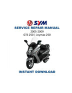 SYM GTS 250 Joymax 250 Service Manual 2005-2009 Scooter PDF service repair manual cover