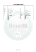 Benelli Leoncino 250 Service Manual service manual preview page 5