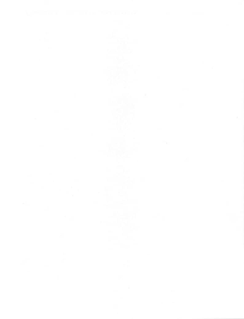 Honda CRF300L Service Manual service manual preview page 2