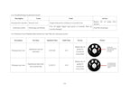 Lifan LF125-26C Service Manual service manual preview page 10